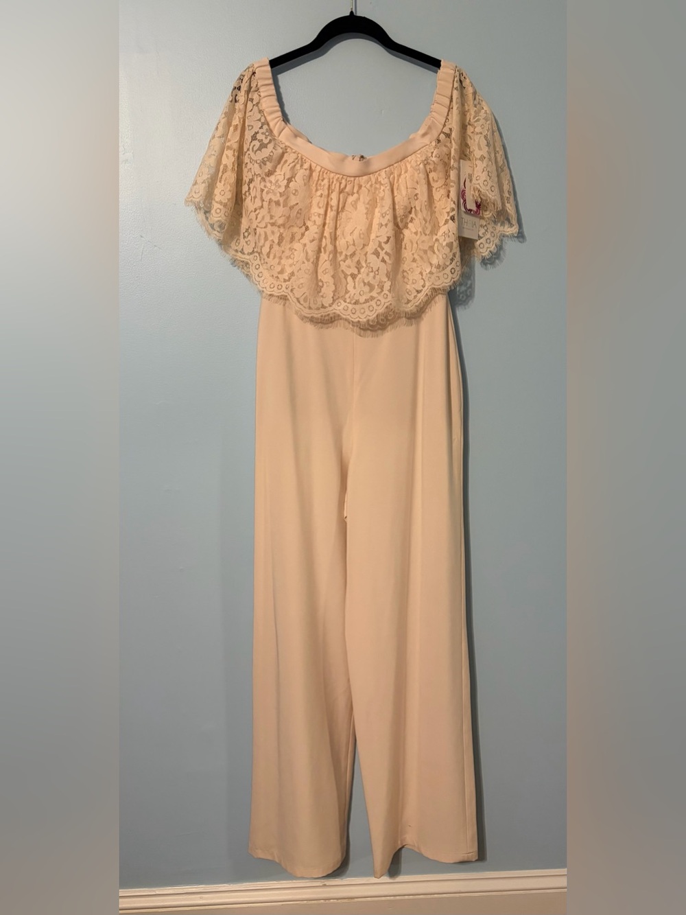 Theia Mila Lace Overlay Wide-Leg Jumpsuit